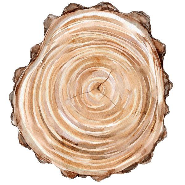 Evergreen Forest Log #2 Fabric Panel Online now