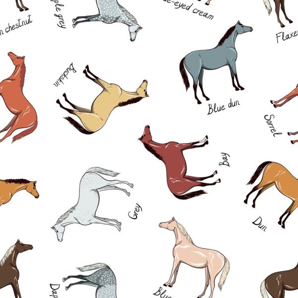 Horse Breeds Allover Fabric Fashion